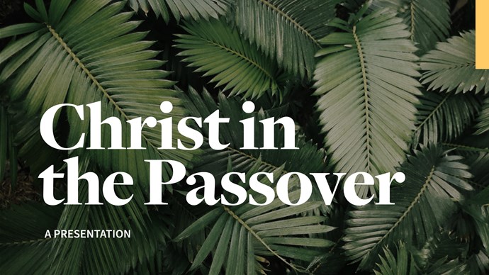 Christ in the Passover